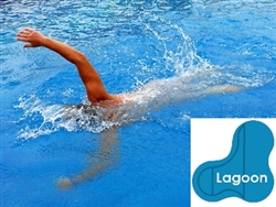 Complete 20x40x30 Lagoon In Ground Swimming Pool Kit with Polymer Supports
