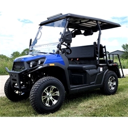 Gas Golf Cart Utility Vehicle UTV Rancher 200 EFI With Automatic Trans ...