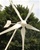 High Quality Wind Turbine Complete System 1000 Watt